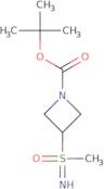 tert-Butyl 3-[imino(methyl)oxo-λ⁶-sulfanyl]azetidine-1-carboxylate