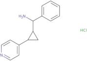 Phenyl[2-(pyridin-4-yl)cyclopropyl]methanamine hydrochloride