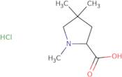 1,4,4-Trimethylpyrrolidine-2-carboxylic acid hydrochloride