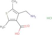 4-(Aminomethyl)-2,5-dimethylthiophene-3-carboxylic acid hydrochloride