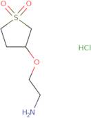 2-[(Tetrahydro-1,1-dioxido-3-thienyl)oxy]-ethanamine hydrochloride