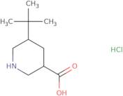 rac-(3R,5R)-5-tert-Butylpiperidine-3-carboxylic acid hydrochloride
