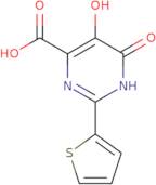 5,6-Dihydroxy-2-thiophen-2-yl-pyrimidine-4-carboxylic acid