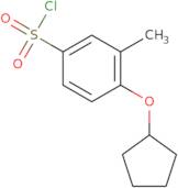 4-(Cyclopentyloxy)-3-methylbenzene-1-sulfonyl chloride