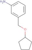 3-[(Cyclopentyloxy)methyl]aniline