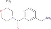 {3-[(2-Methylmorpholin-4-yl)carbonyl]phenyl}methanamine