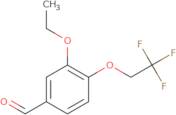 3-Ethoxy-4-(2,2,2-trifluoroethoxy)benzaldehyde