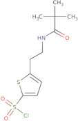 5-[2-(2,2-Dimethylpropanamido)ethyl]thiophene-2-sulfonyl chloride