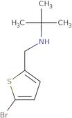 [(5-Bromothiophen-2-yl)methyl](tert-butyl)amine