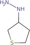 Thiolan-3-ylhydrazine