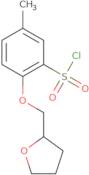 5-Methyl-2-(oxolan-2-ylmethoxy)benzene-1-sulfonyl chloride