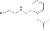 {[2-(Difluoromethoxy)phenyl]methyl}(propyl)amine