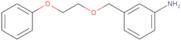 3-[(2-Phenoxyethoxy)methyl]aniline