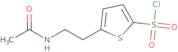 5-(2-Acetamidoethyl)thiophene-2-sulfonyl chloride