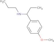 [1-(4-Methoxyphenyl)propyl](propyl)amine