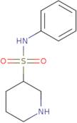 N-Phenylpiperidine-3-sulfonamide