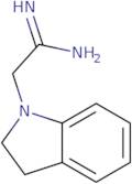 2-(2,3-Dihydroindol-1-yl)ethanimidamide