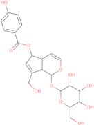 6-o-p-Hydroxybenzoylaucubin