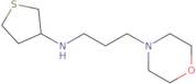 N-[3-(Morpholin-4-yl)propyl]thiolan-3-amine