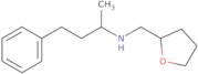 (1-Methyl-3-phenyl-propyl)-(tetrahydro-furan-2-ylmethyl)-amine