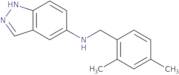 N-[(2,4-Dimethylphenyl)methyl]-1H-indazol-5-amine