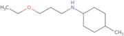 N-(3-Ethoxypropyl)-4-methylcyclohexan-1-amine