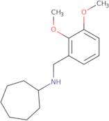 N-(2,3-Dimethoxybenzyl)cycloheptanamine