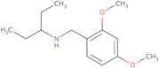 (2,4-Dimethoxybenzyl)(1-ethylpropyl)amine