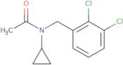 N-Cyclopropyl-N-(2,3-dichlorobenzyl)acetamide