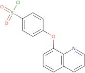 4-(Quinolin-8-yloxy)benzene-1-sulfonyl chloride