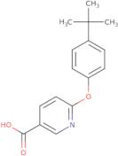 6-(4-tert-Butylphenoxy)pyridine-3-carboxylic acid