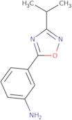 3-(3-Isopropyl-1,2,4-oxadiazol-5-yl)aniline