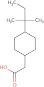 2-[4-(2-Methylbutan-2-yl)cyclohexyl]acetic acid