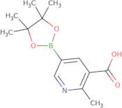 3-Carboxy-2-methylpyridine-5-boronic acid pinacol ester