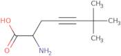 2-Amino-6,6-dimethylhept-4-ynoic acid