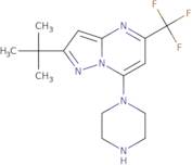 2-(tert-Butyl)-7-piperazino-5-(trifluoromethyl)pyrazolo[1,5-a]pyrimidine