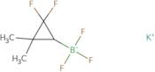 Potassium (2,2-difluoro-3,3-dimethylcyclopropyl)trifluoroboranuide