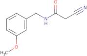 2-Cyano-N-(3-methoxybenzyl)acetamide