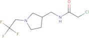 2-Chloro-N-{[1-(2,2,2-trifluoroethyl)pyrrolidin-3-yl]methyl}acetamide