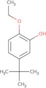 5-tert-Butyl-2-ethoxyphenol