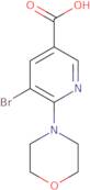 5-Bromo-6-morpholin-4-ylnicotinic acid