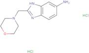 2-Morpholin-4-ylmethyl-1H-benzoimidazol-5-ylaminedihydrochloride