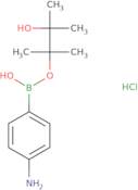 4-Aminobenzeneboronic acid, pinacol ester hydrochloride