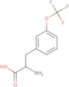 3-(Trifluoromethoxy)-L-phenylalanine