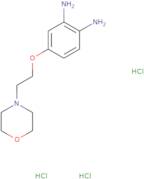 4-(2-Morpholinoethoxy)benzene-1,2-diamine trihydrochloride