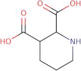 Piperidine-2,3-dicarboxylic acid