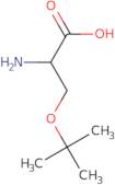 2-Amino-3-(tert-butoxy)propanoic acid