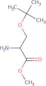 Methyl (2S)-2-amino-3-(tert-butoxy)propanoate