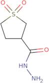 Tetrahydro-3-thiophenecarboxylic acid hydrazide 1,​1-​dioxide