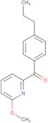 2,3-Dihydro-1H-pyrrolizin-1-one